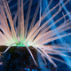 Illustration for article titled 10 Bioluminescent Organisms That Better Cut That Freaky Shit Out Before I Call The Cops